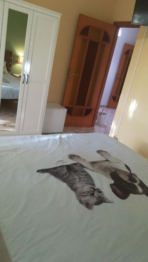トラーニ Terra Bianca Bed & Breakfast エクステリア 写真